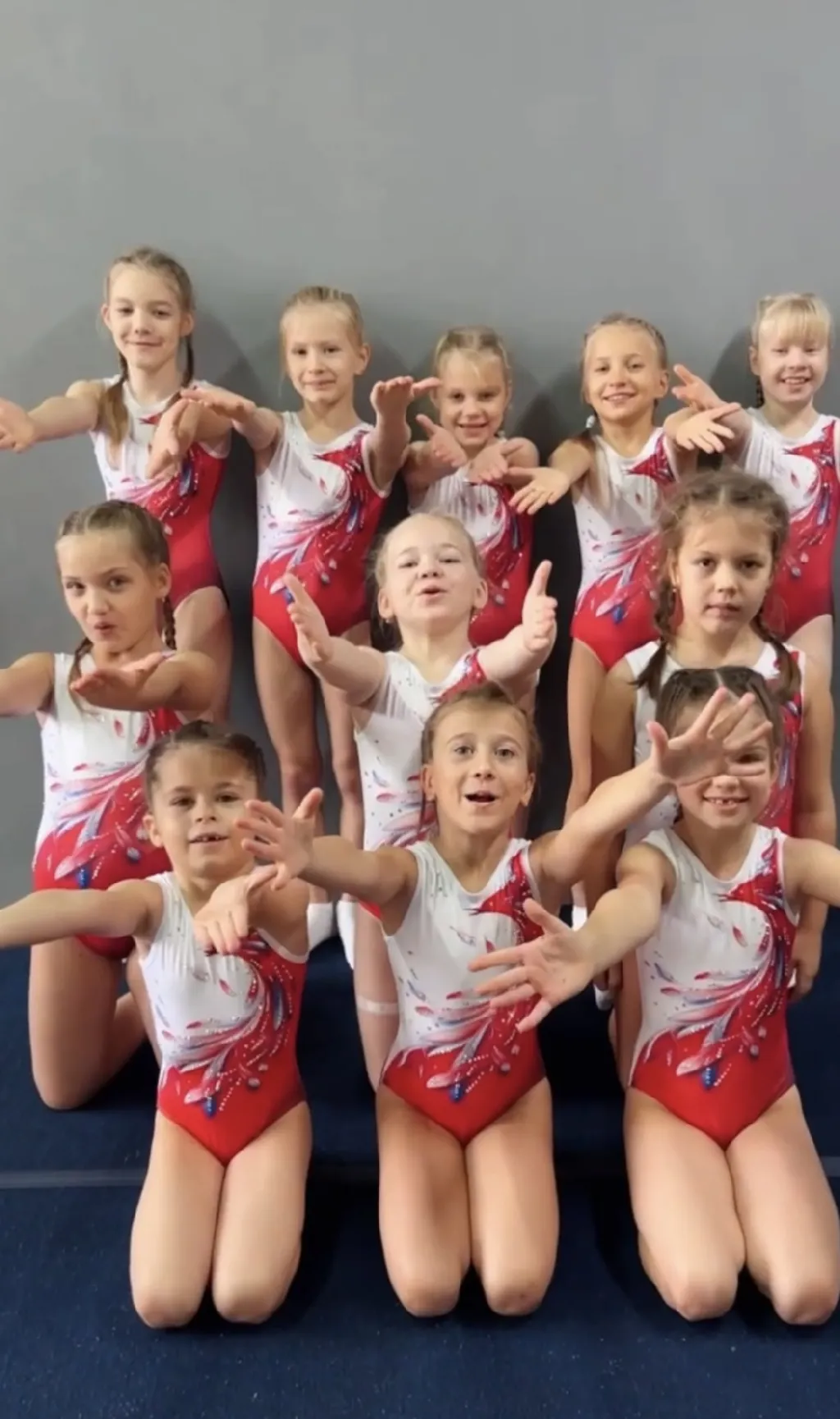 феникс со стразами