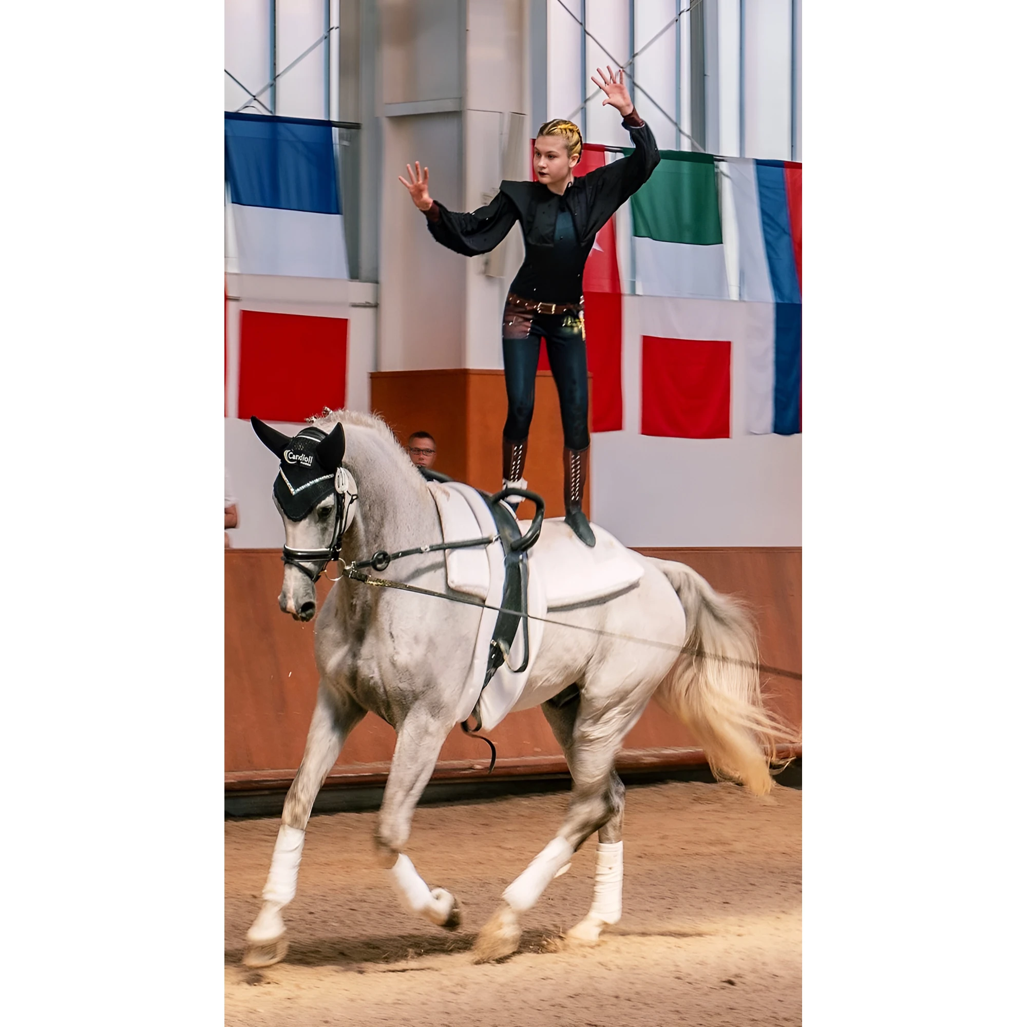 Вольтижировка - Чумной доктор1