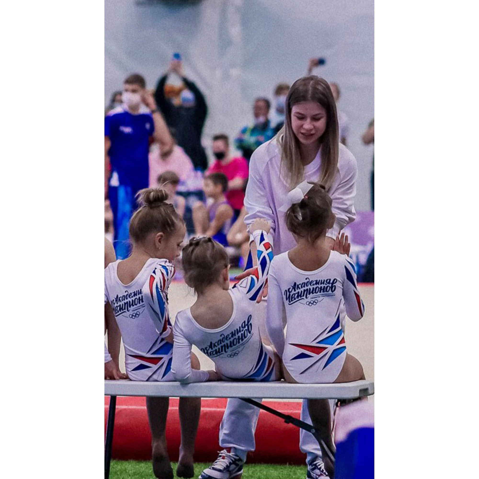 спортивная гимнастика академия чемпионов2