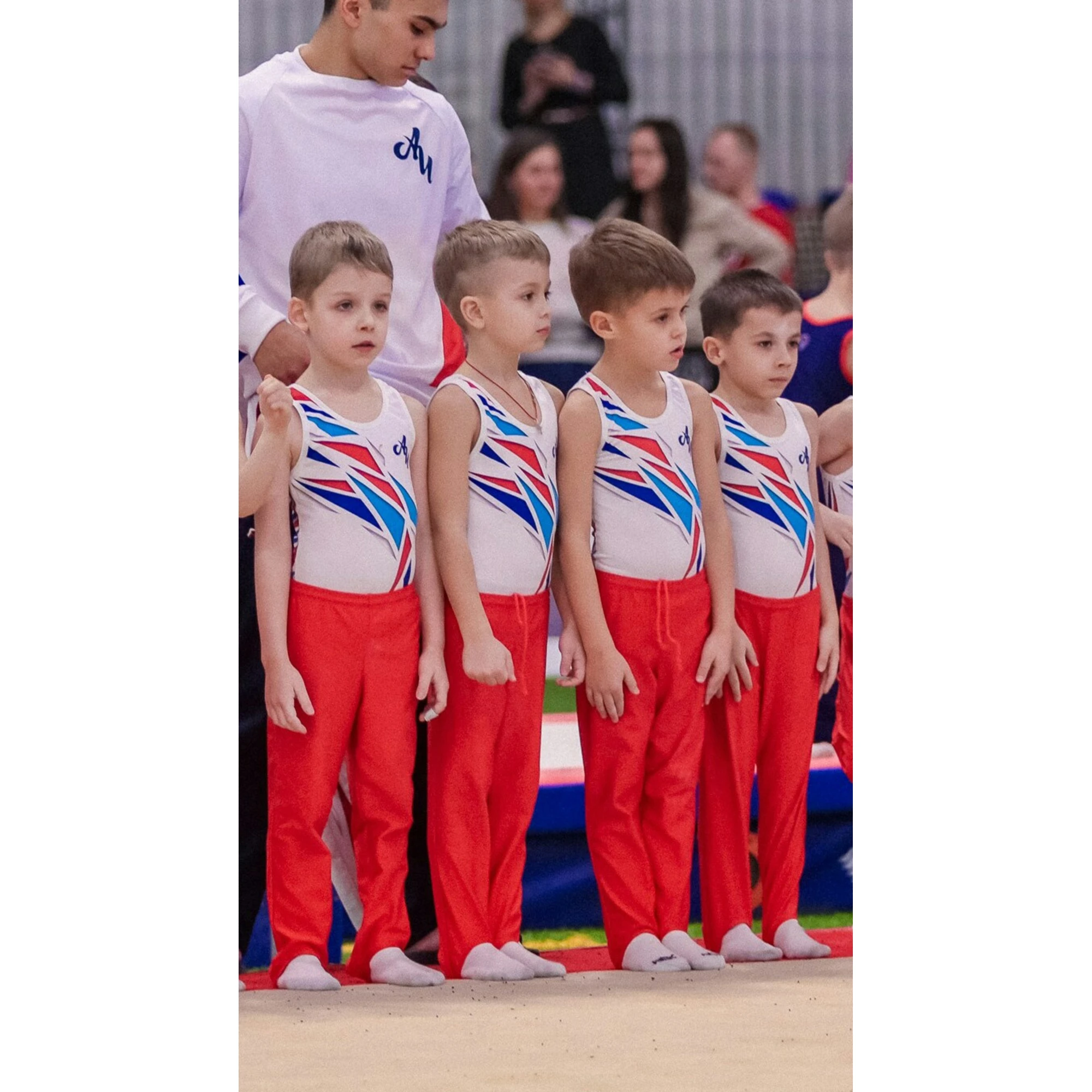 спортивная гимнастика академия чемпионов3